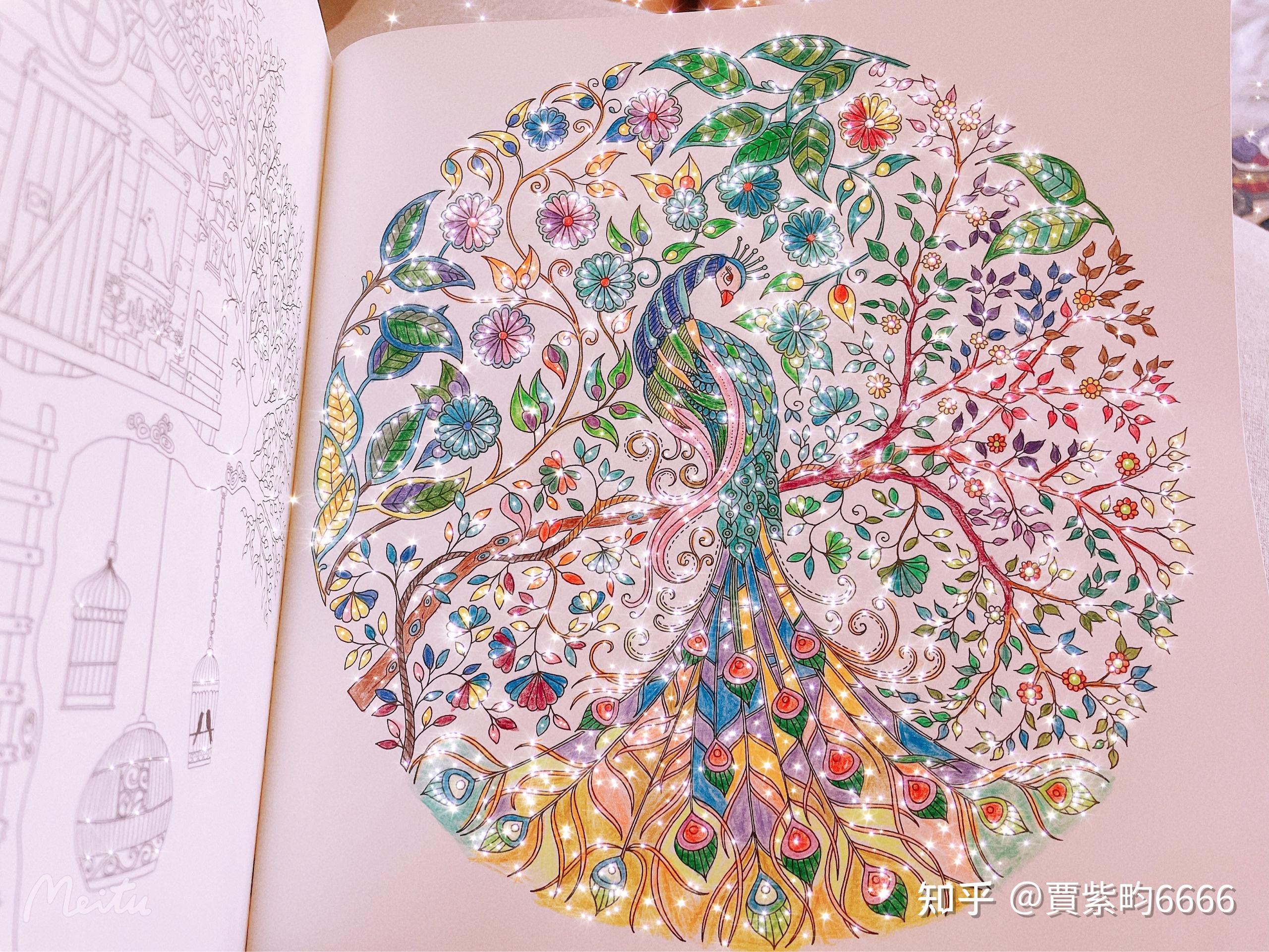 自然 #萨满 #绘画 #色彩#原创填色 #秘密花园 #艺术 #疗愈 #动物趾貂