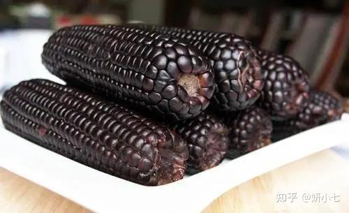 养肾才能养命黑色蔬菜最理想