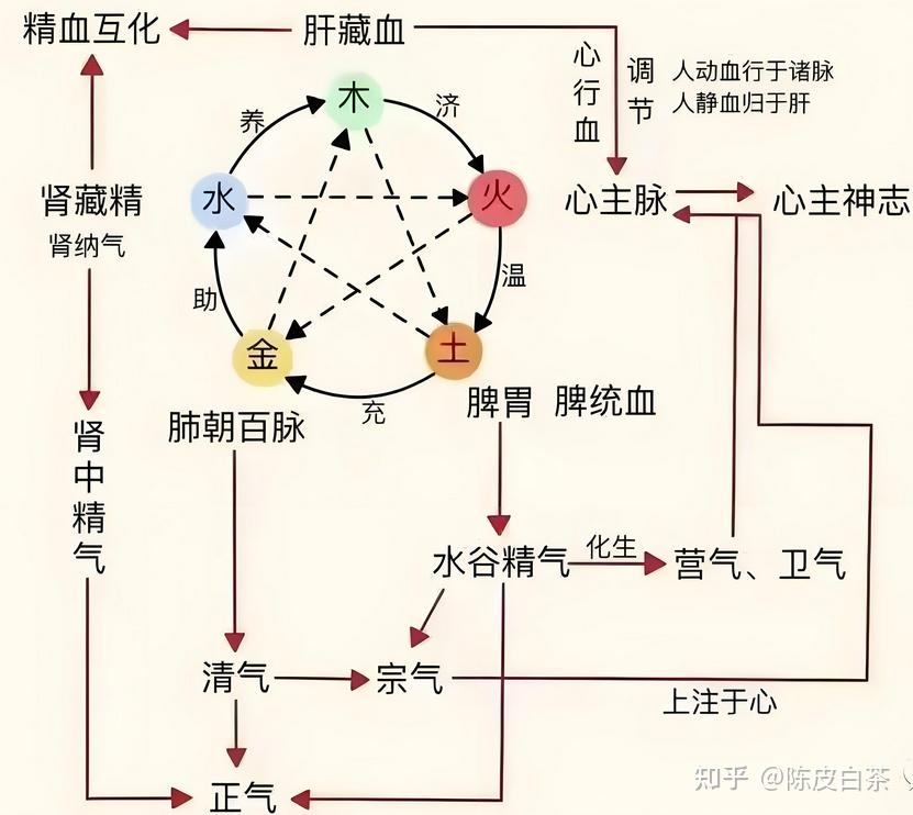 中医基础--气 - 知乎