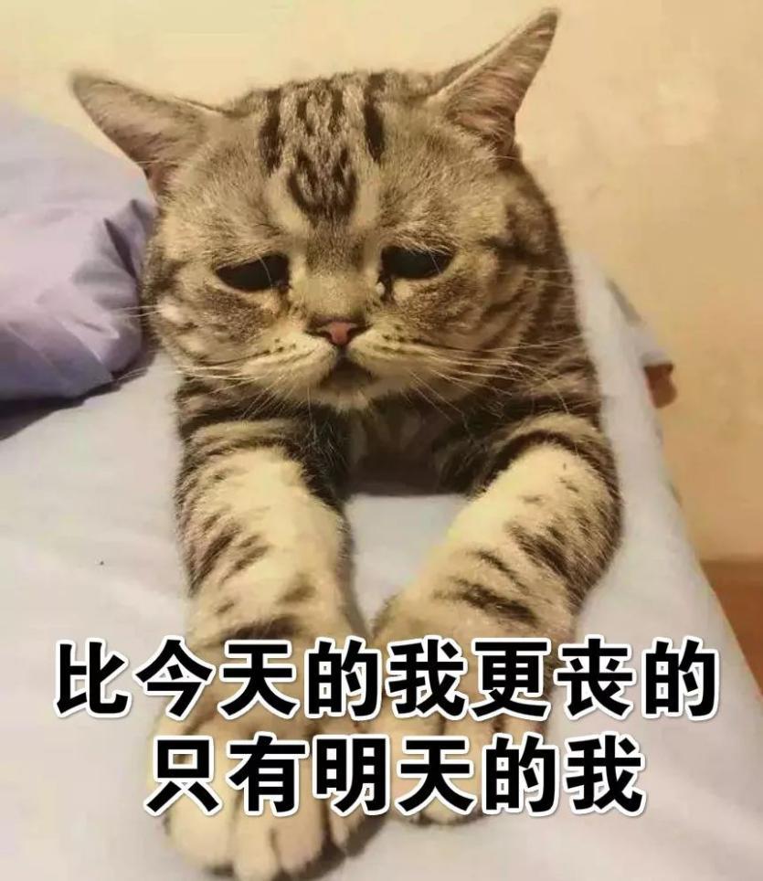 未长夜痛哭者不足语人生
