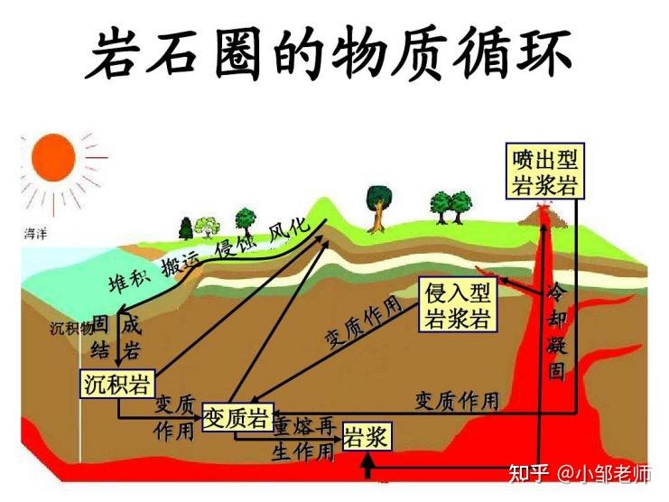 砂岩,砾岩,页岩) 化石主要存在于沉积岩中(3)变质作用→变质岩(大理岩