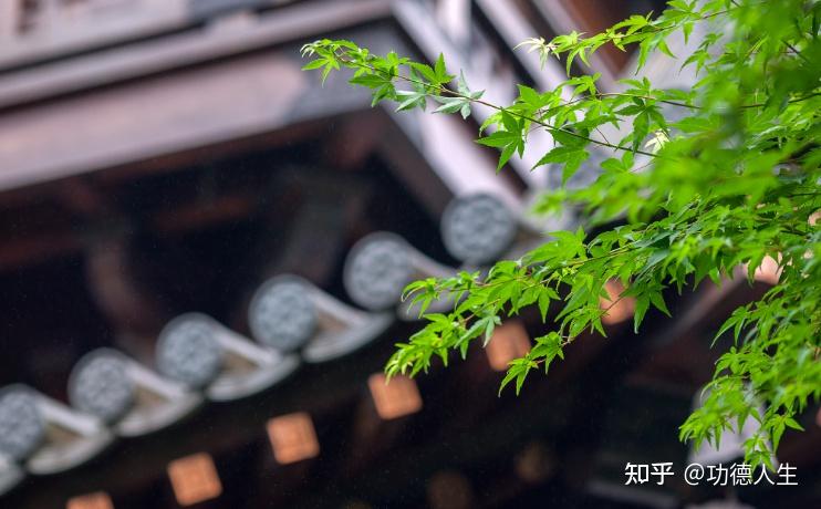 随和的人,到哪都有福气 - 知乎