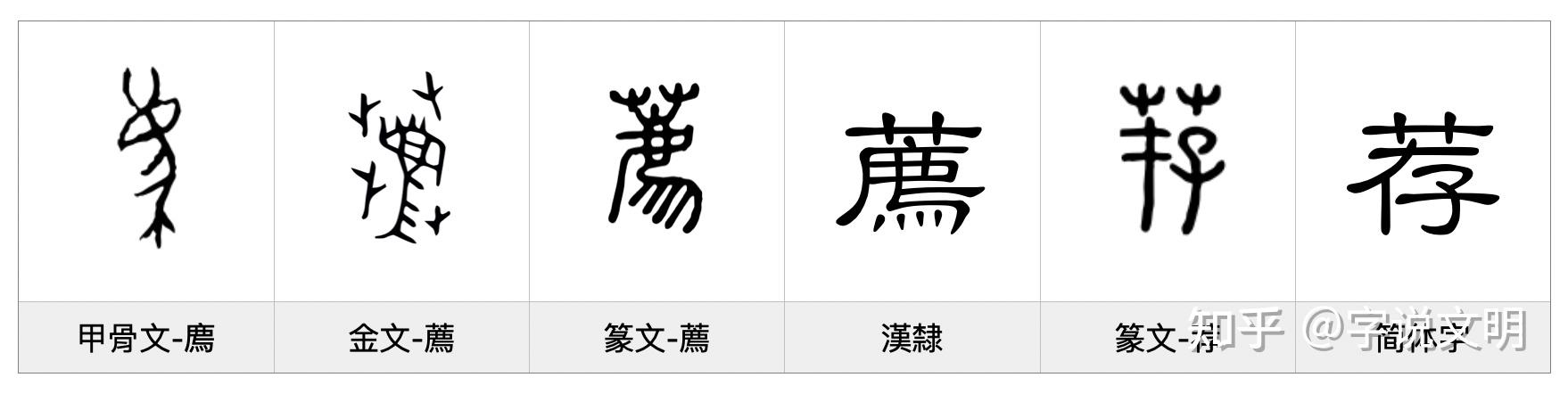 荐——每日一字·艸部字 - 知乎