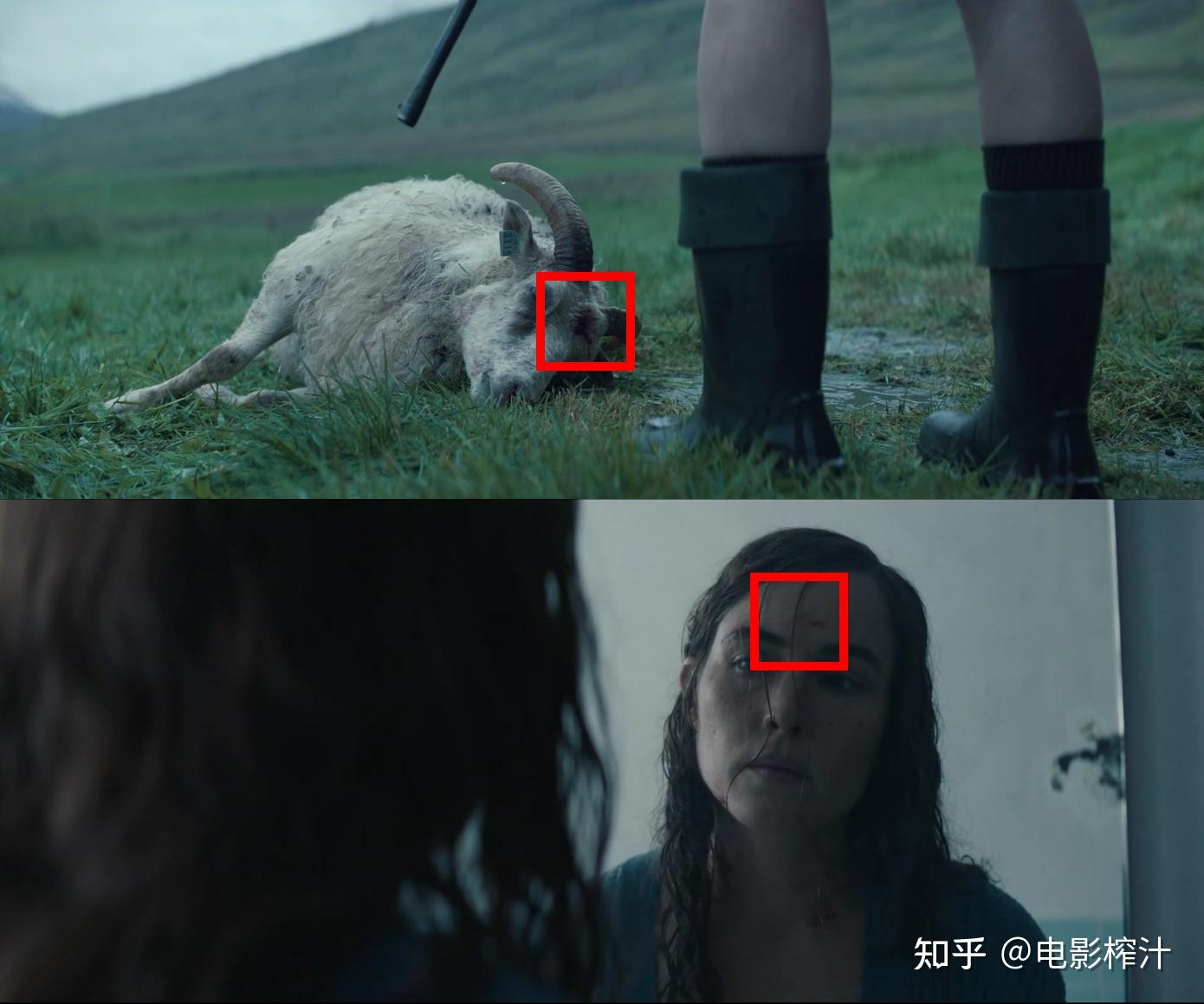 如何评价2021年恐怖电影羊惧