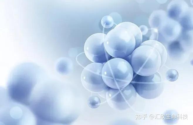 造血干细胞移植：点亮生命的希望之光