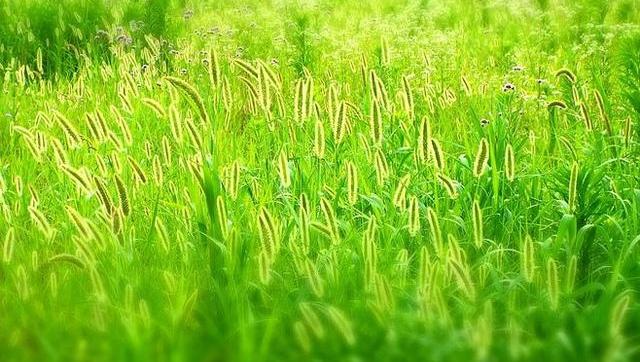 v2-943d2e469533ae3eaeed34a5b477a2d4_r.jpg