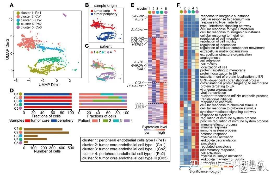 一文读懂基因富集分析：从小白到SCI - 知乎