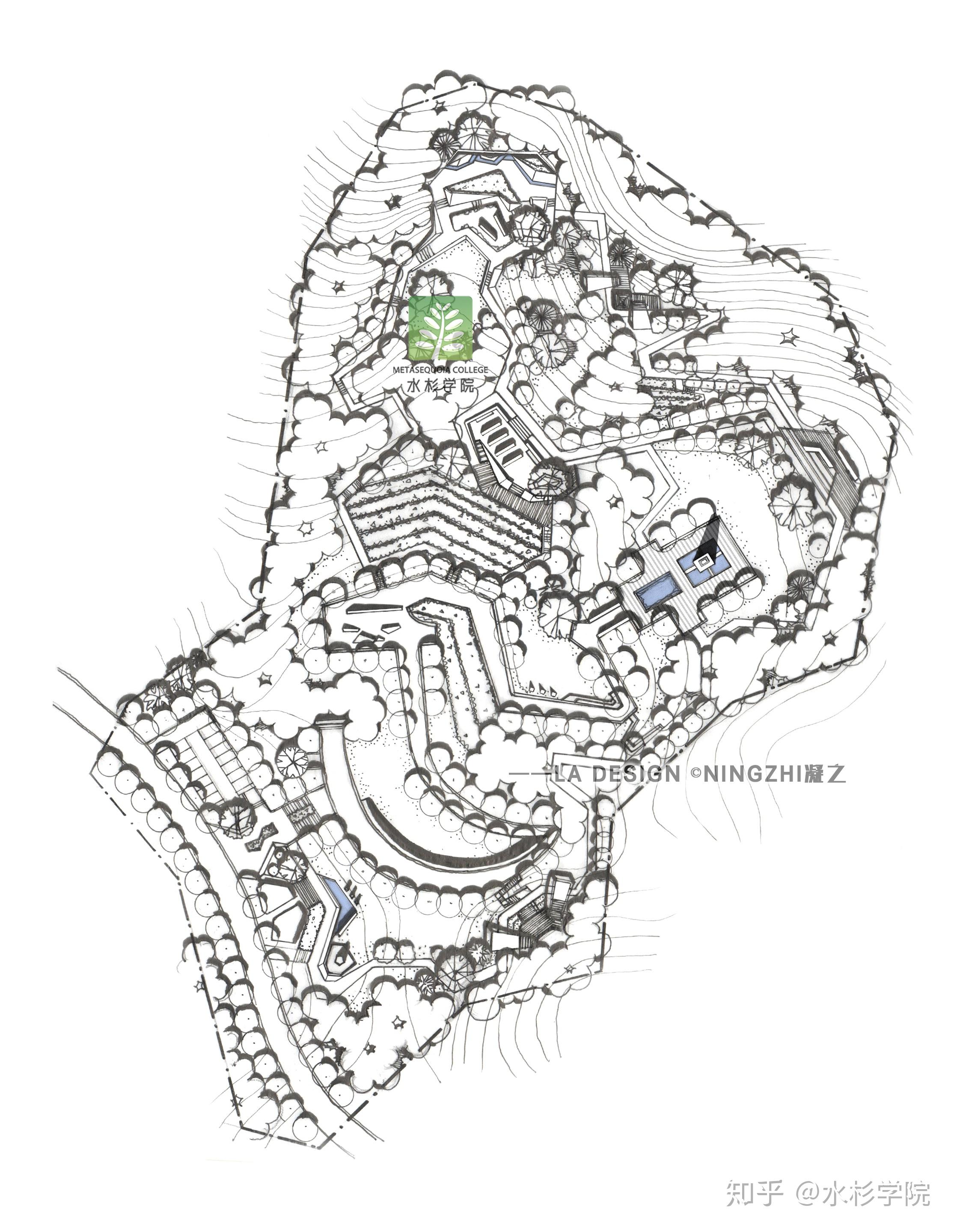 水杉學院南京林業大學2019風景園林考研真題範例解讀真題用敘事性方法