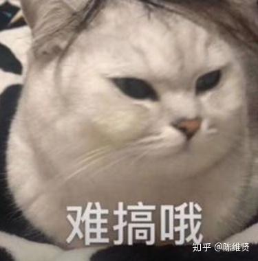 抖音直播怎么挣钱哪里来的_抖音直播回放怎么看别人的回放_抖音若若在哪直播