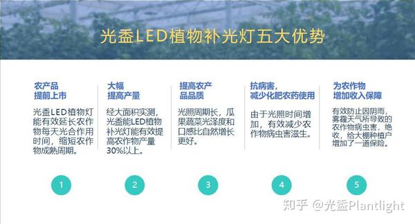 揭秘光盉 使用植物补光灯成本真的很高吗 知乎