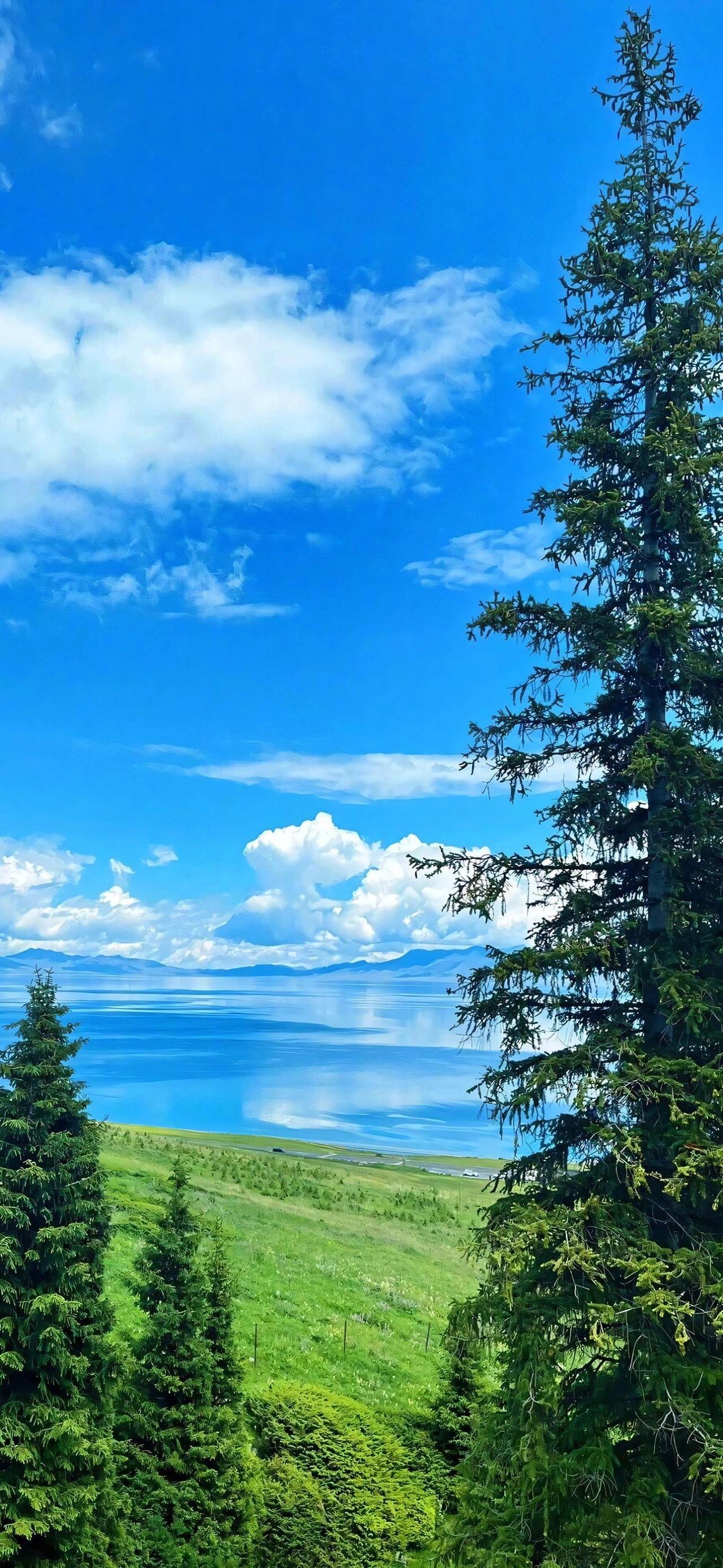 可以分享一下你觉得很治愈的风景照片嘛