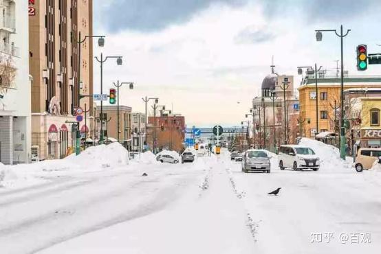 北海道那么大到底该怎么玩 看完这篇攻略你就知道了 知乎