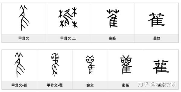 雚——每日一字·隹部字 知乎