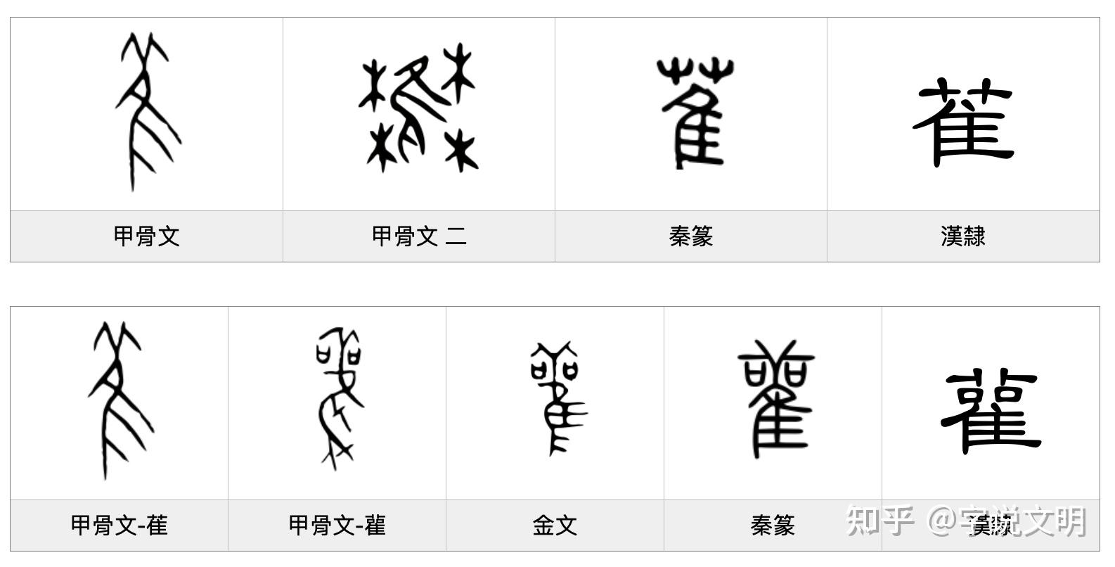 雚——每日一字·隹部字 - 知乎