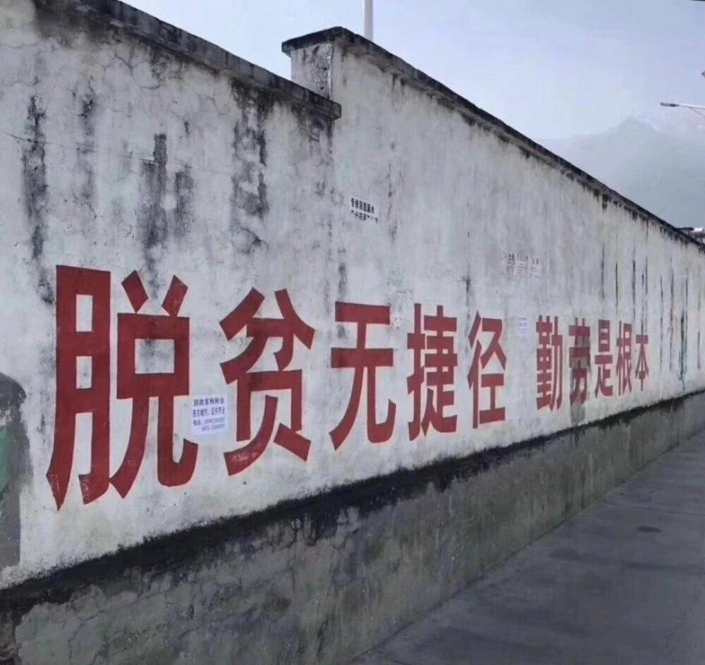吉良大和 知乎