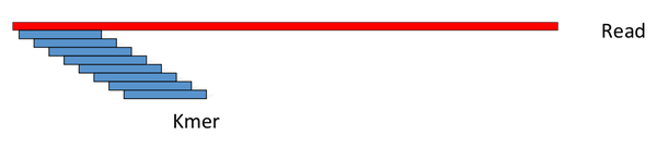使用kmer来评估基因组特征 - 知乎