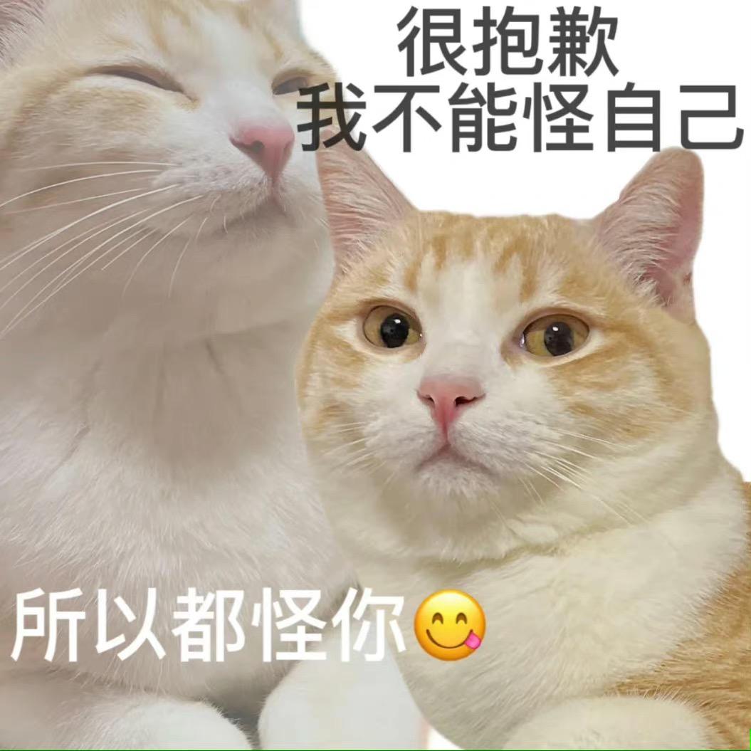 表情包:猫咪工作表情包 - 知乎