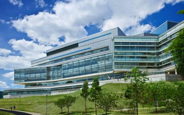 在布兰迪斯大学(brandeis university)就读是怎样一番体验?