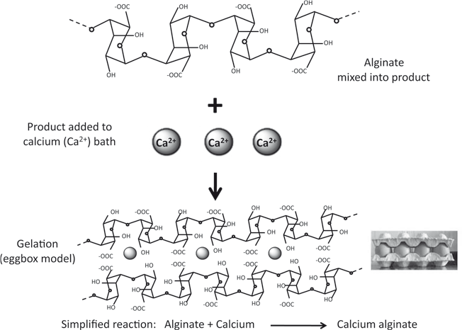 图2. 钙离子(ca2 )存在下海藻酸钠凝胶化机理的示意图.