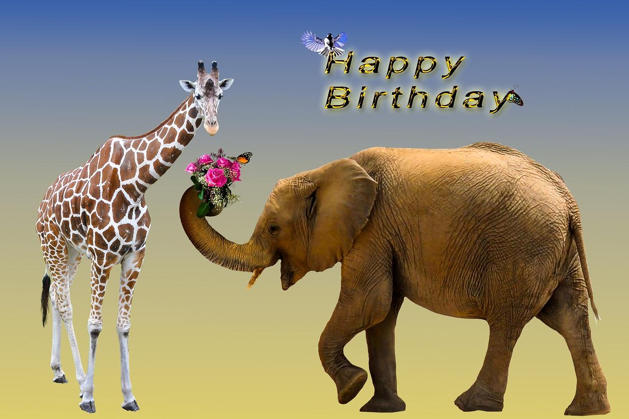 愿1月25日的阳光温暖您的每一天