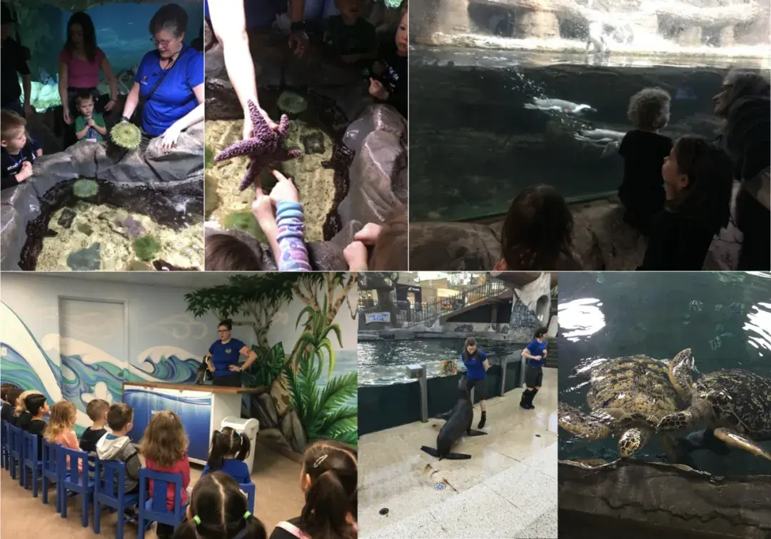 West Edmonton Mall|能满足您一切需求的超级娱乐综合体