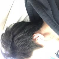 Zhihu profile picture for @pembroke