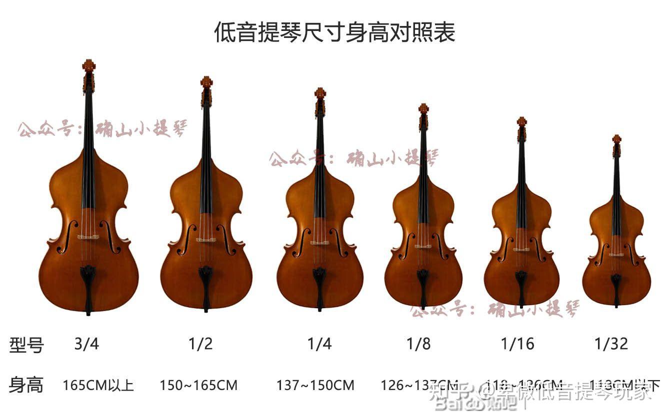 低音提琴音阶指法表图片