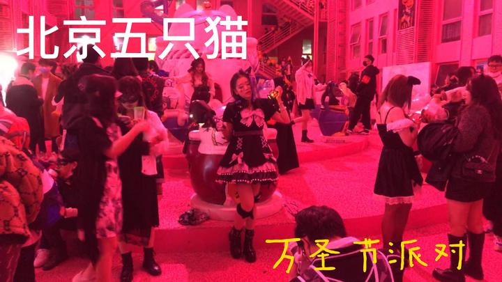 北京万圣节五只猫打卡|嗨翻全场 - 知乎