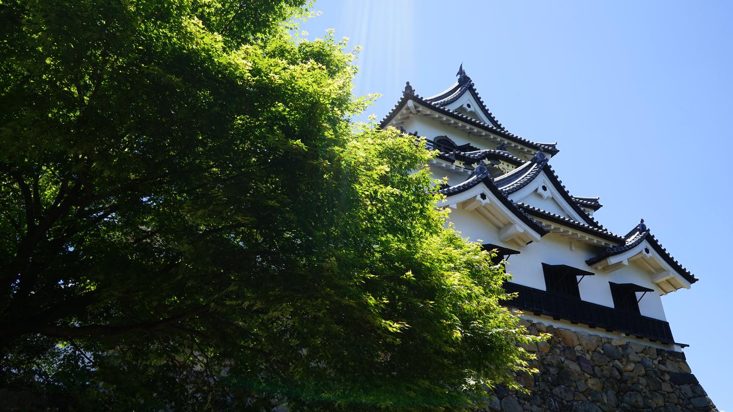 日本名城巡礼 彦根城 知乎 日本名城巡礼 彦根城 知乎