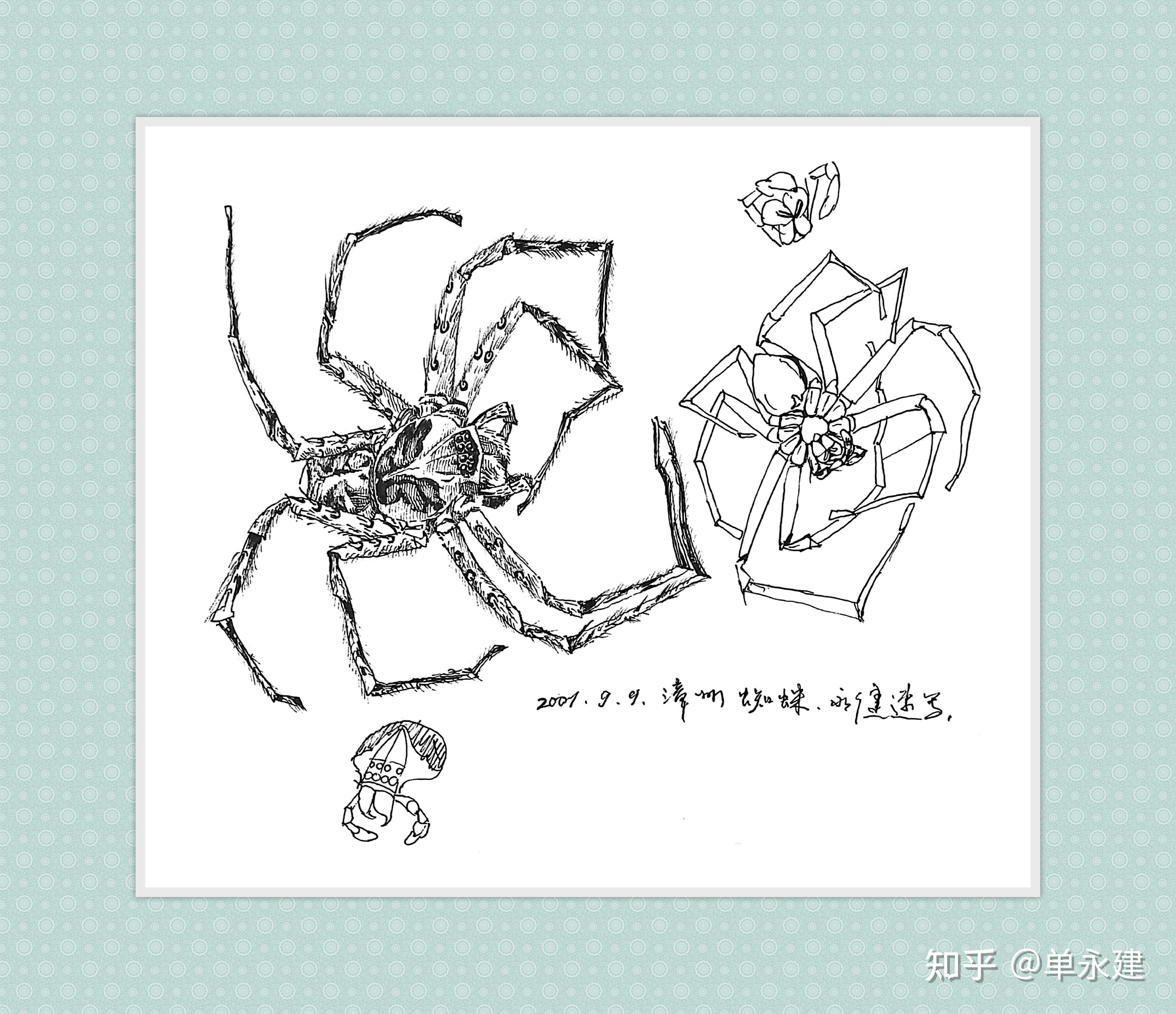 单永建画作2001年钢笔画蜘蛛
