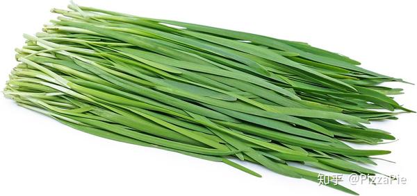 Chive Leek Scallion Shallot有什么区别 Chive是韭菜还是葱 男霸网