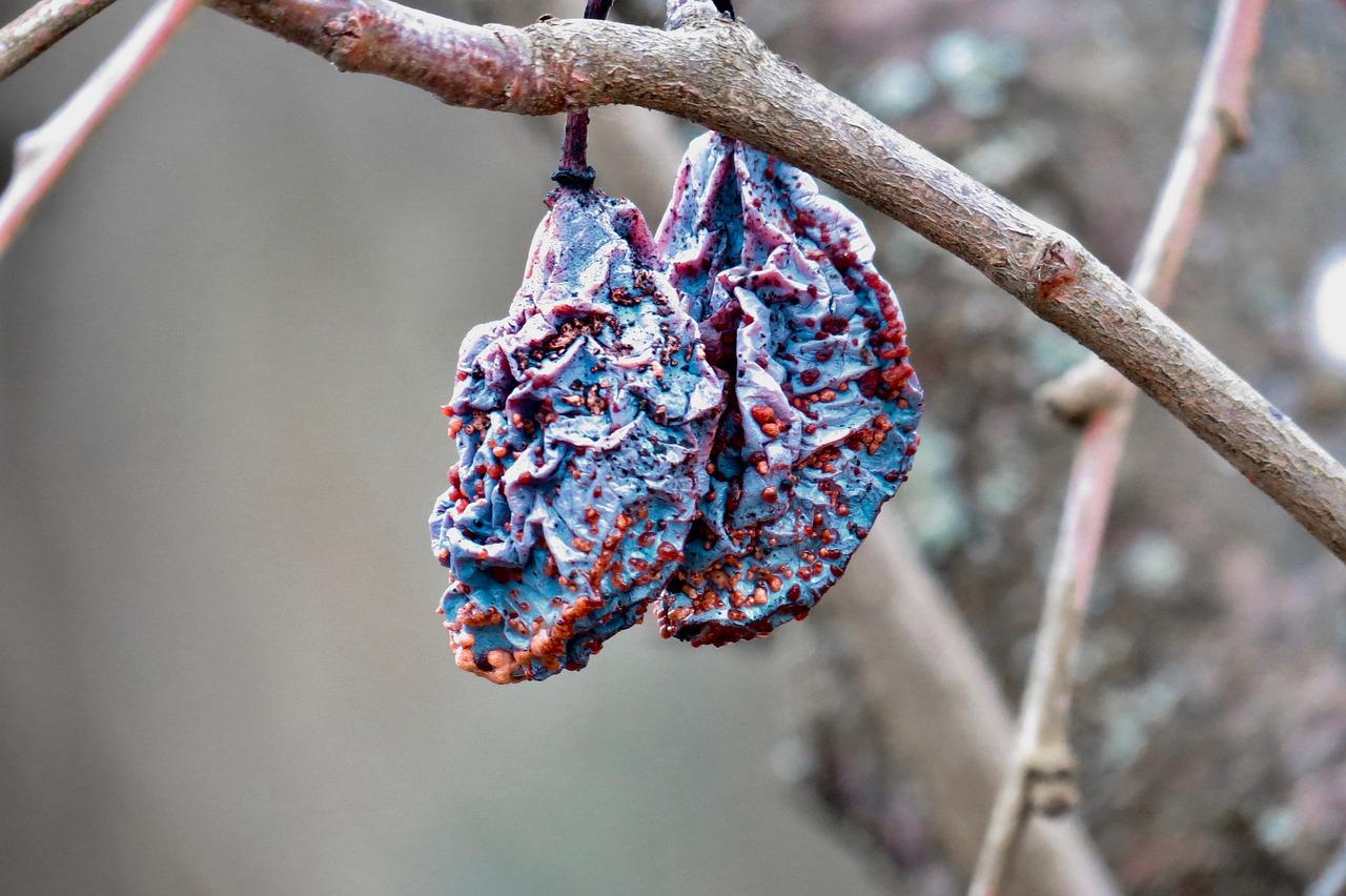 1. 湿度调节技巧