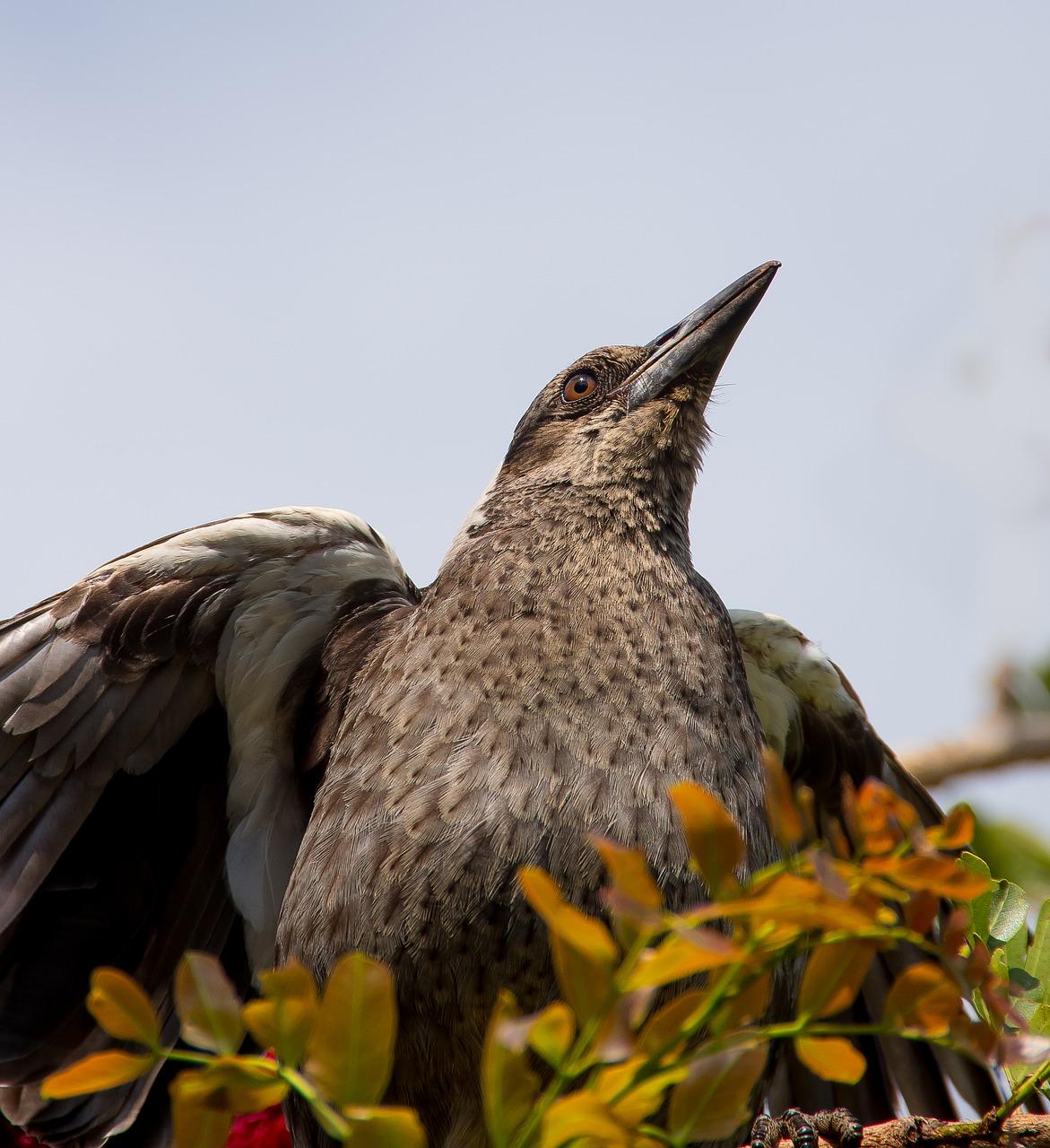 2. 精致户型展示