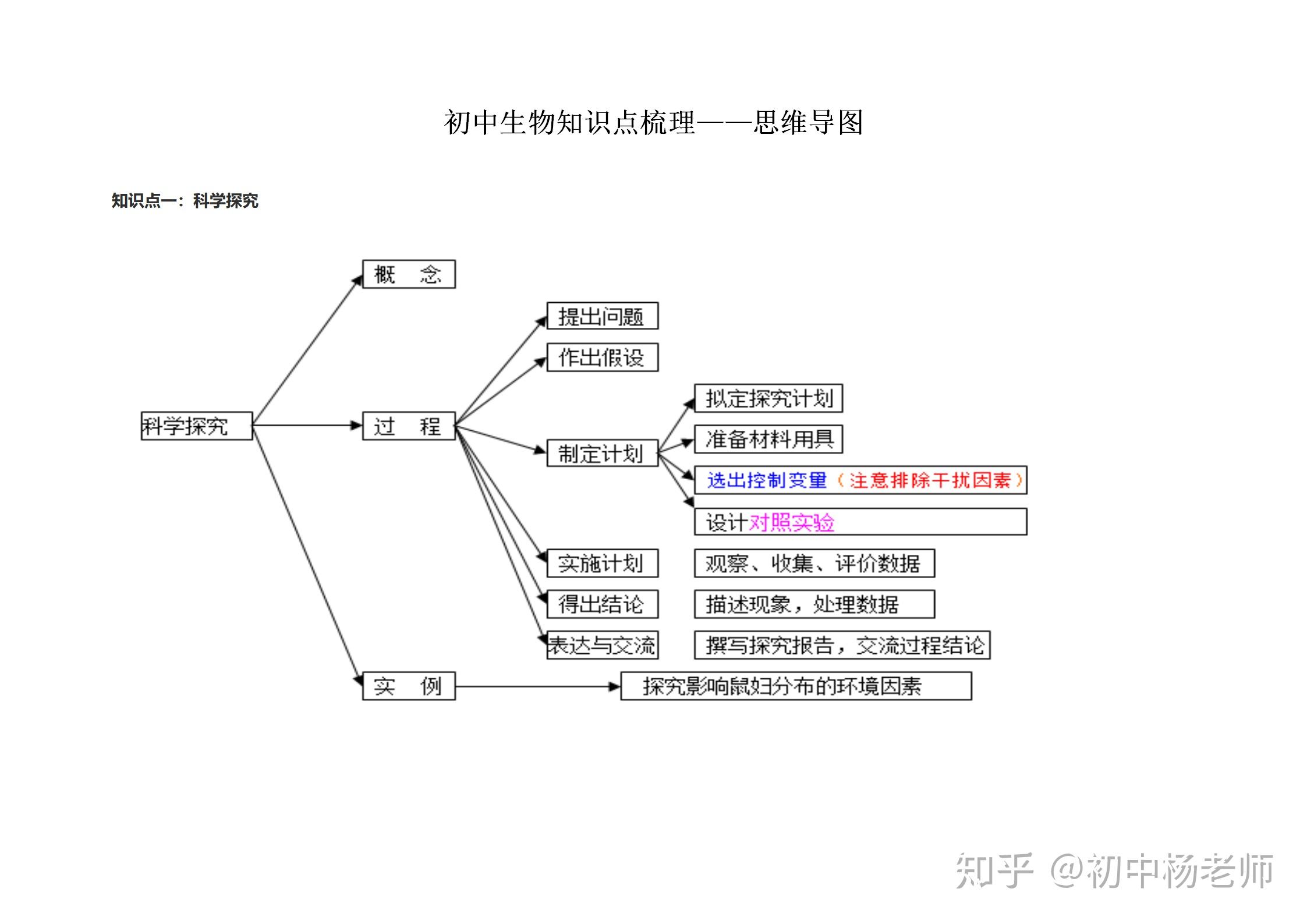 初中生物知识点思维导图