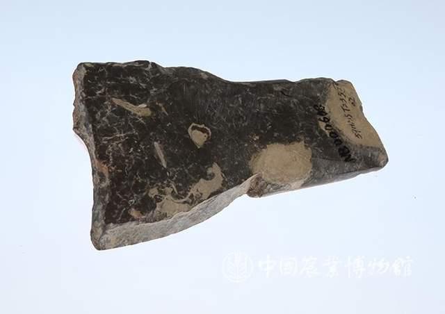 丰收之季,细说中国古代农业农具发展史 - 知乎