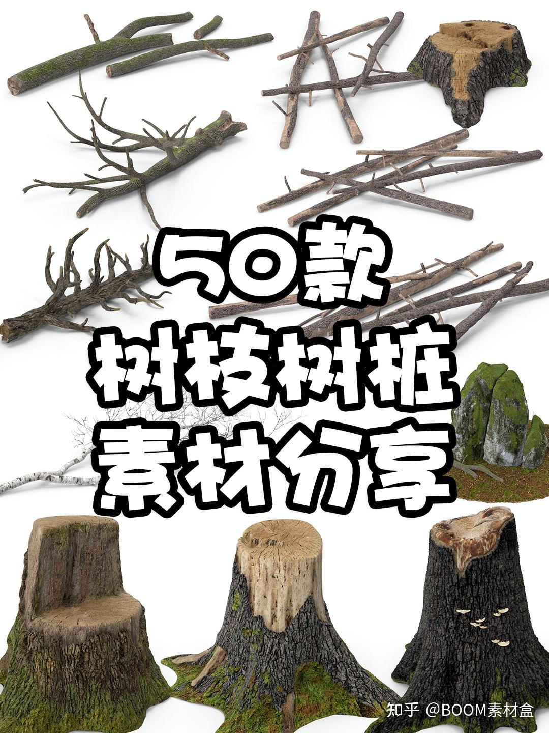 树枝可以做什么