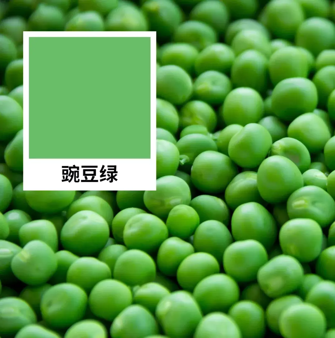 看绿色真的可以保护视力吗