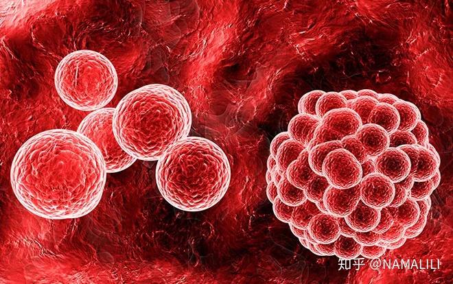 干細胞最全的科普(圖2)