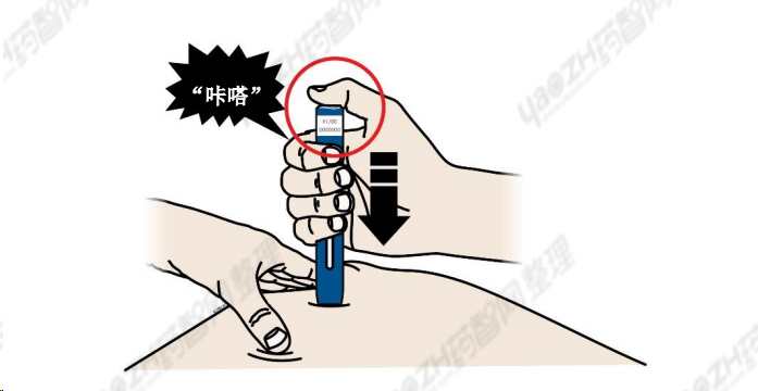 教你正确使用依洛尤单抗注射液(瑞百安) - 知乎