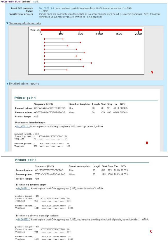PrimerBLAST：NCBI的引物设计和特异性检验工具 知乎