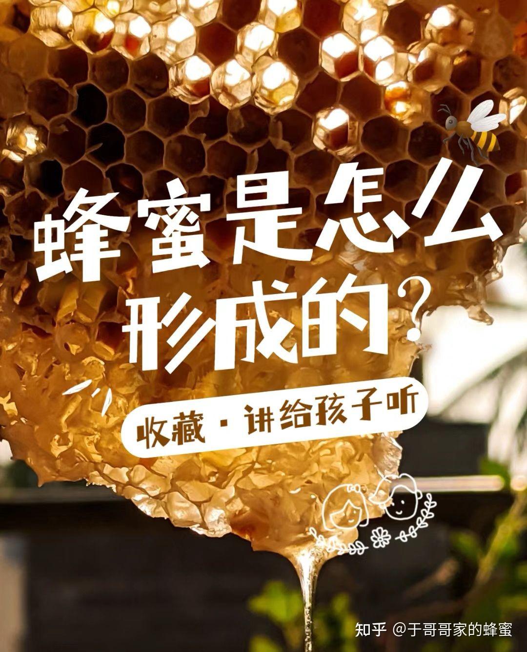 蜂蜜如何从蜂巢取出，养殖蜜蜂蜂巢，带你了解制作蜂蜜过程_凤凰网视频_凤凰网