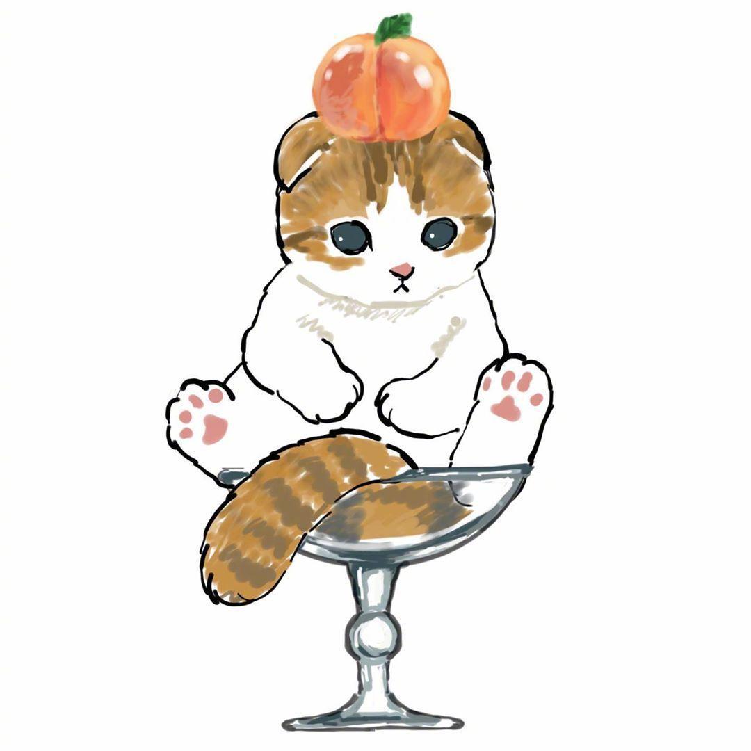 有没有敲可爱的猫咪头像? - 知乎