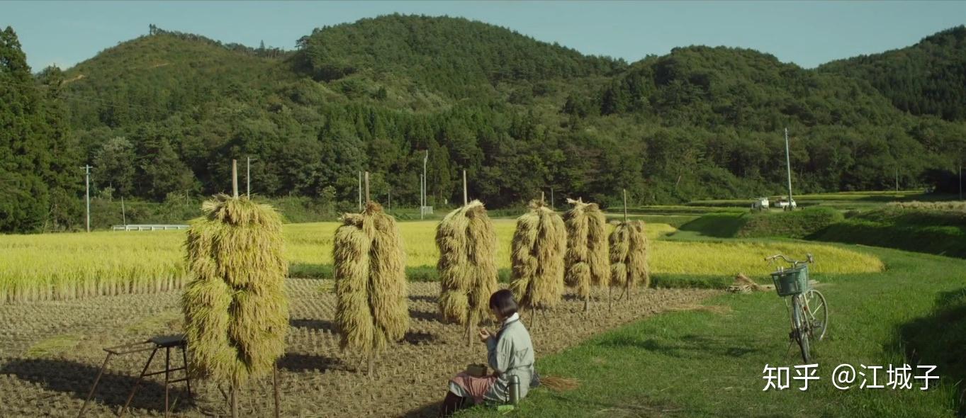江城记11越哥说电影之小森林夏秋篇
