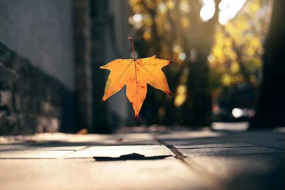 你见过哪些让你感觉生活很美好的图片