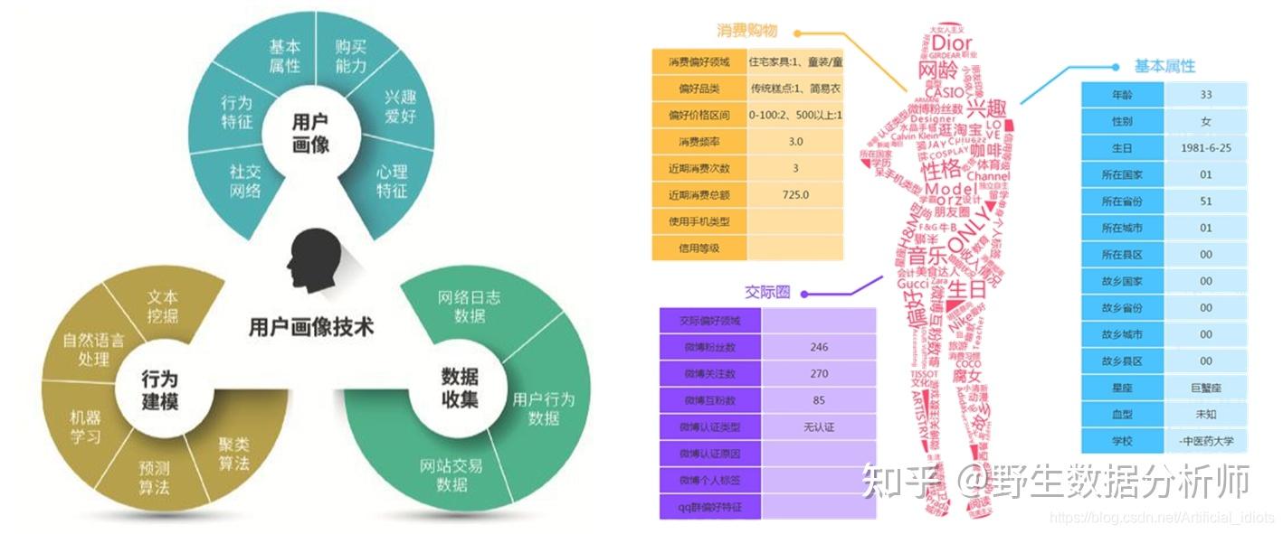 用户画像标签分类图片