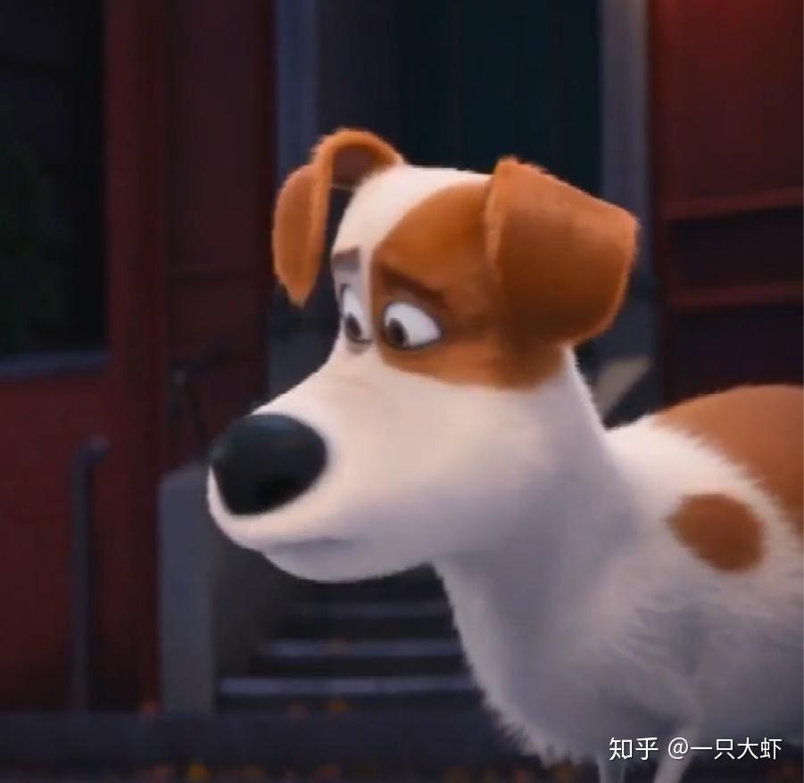 求爱宠大机密小白狗啾啾的头像