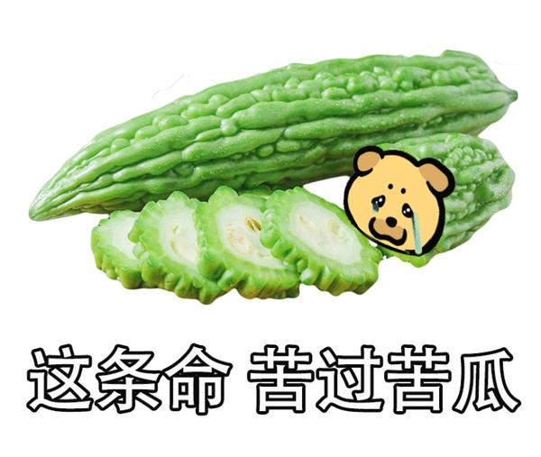 反正就苦瓜多苦,我多苦呗!