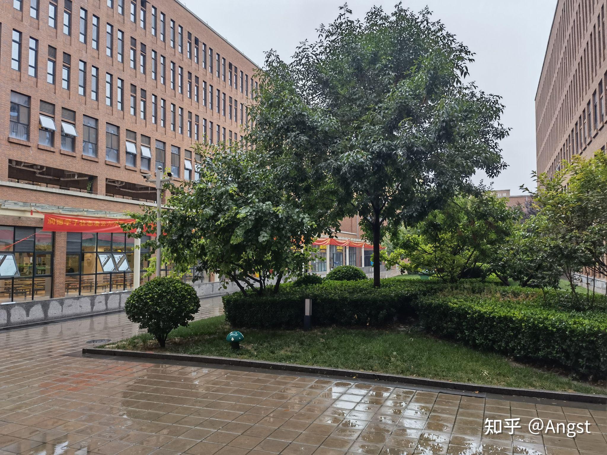 如何评价石家庄二中润德学校? - 知乎