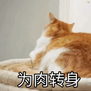 22年性价比高的国产进口猫粮推荐 猫粮选购避雷指南 新手养猫怎么选猫粮 猫粮科普篇 知乎