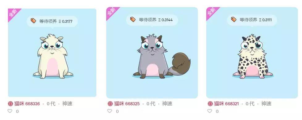 哈希里亚漂流者下载-哈希里亚漂流者免费下载-11ba哈希游戏平台推荐 2025年最火爆的哈希博彩网站 首存就送88U下载站